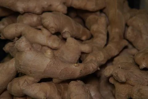 Fresh ginger root. 스톡 사진