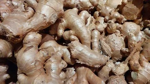 Fresh Ginger Root Piled Together in a Market Setting Showcasing Natural Tex.. Stock Photos