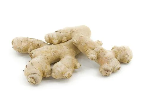 Fresh ginger root on seamless white studio backdrop. Stock Photos