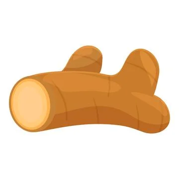 Fresh ginger root showing its vibrant orange interior Stock Illustration