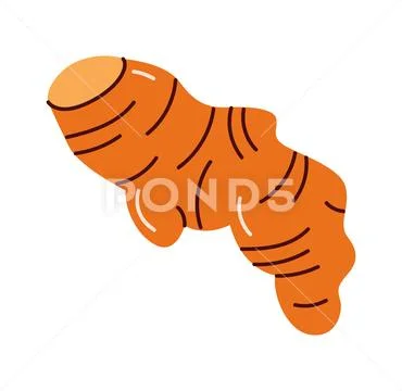 Fresh ginger root in simple flat style Ilustraciones de archivo