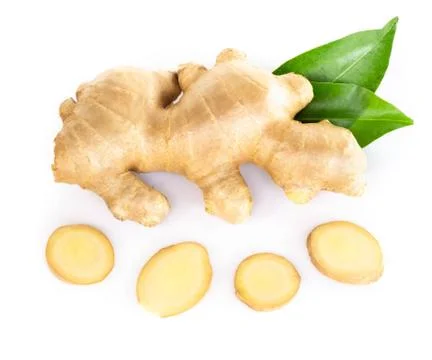Fresh ginger root with sliced islolated on white background for herb and medi Stock Photos