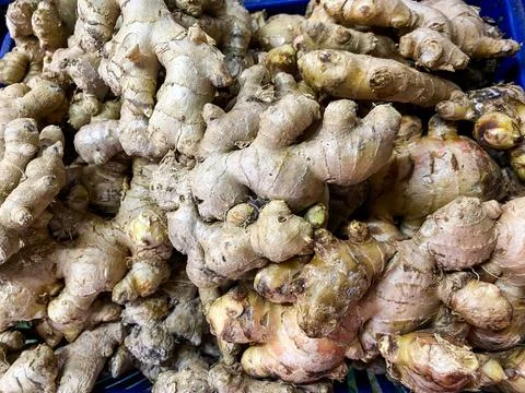 Fresh ginger root texture background. Foto stock