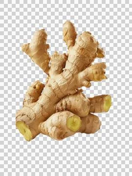 Fresh Ginger Root on Transparent Background Stock Photos