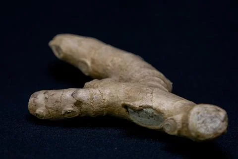 A fresh ginger root, valued for its culinary and medicinal properties, lies o Foto stock