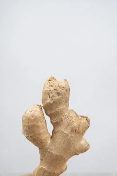 Fresh ginger root on white background, space for text Stock Photos