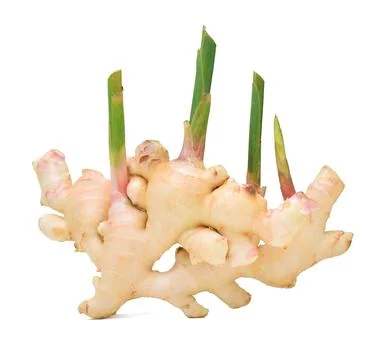 Fresh ginger root on white background Foto stock