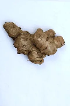 Fresh Ginger Root on White Background Stock Photos