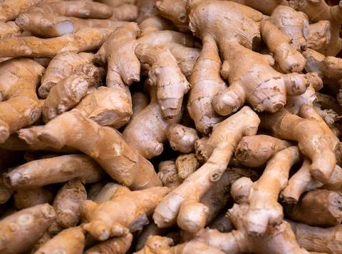 Fresh ginger root – whole raw rhizome full frame background Fotos Stock