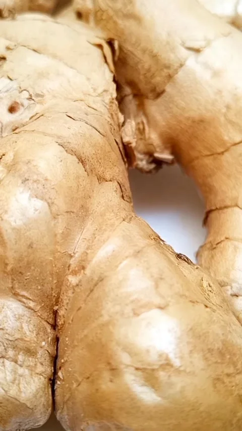 Fresh ginger roots or ginger rhizome on white background moving, closeup Stock Footage 310997854