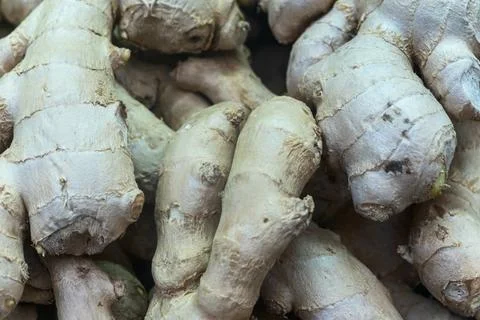 Fresh ginger roots pile background close up. Organic raw ginger root layout.. Stock Photos