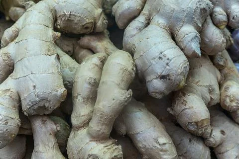 Fresh ginger roots pile background close up. Organic raw ginger root layout.. Stock Photos