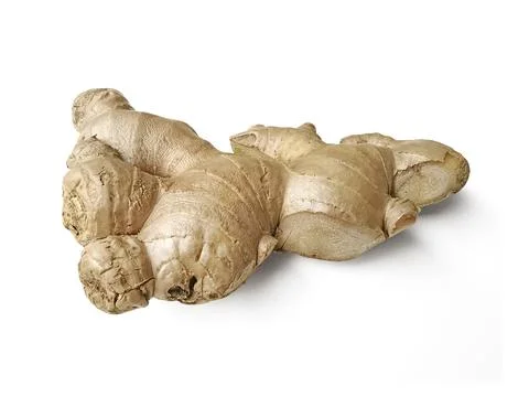Fresh ginger on white background, herb medical concept Stock Photos