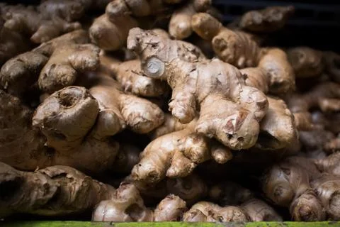 Fresh Gingers Stock Photos