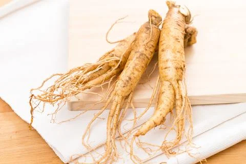 Fresh ginseng root Stock Photos