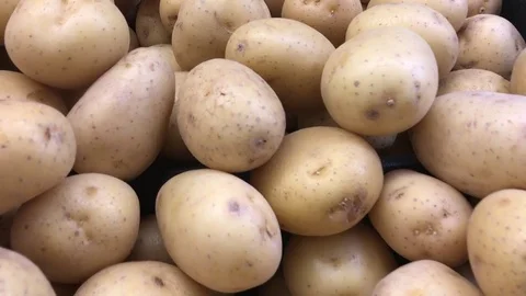 Fresh Gold Potatoes Vegetable Stock Footage 80268957