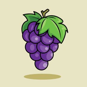 Fresh Grape Stock Illustration