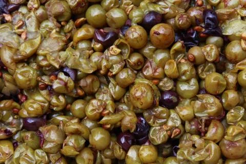 Fresh grape marc Stock Photos