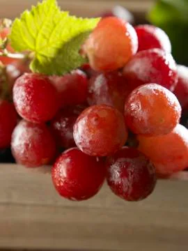 Fresh grape Stock Photos
