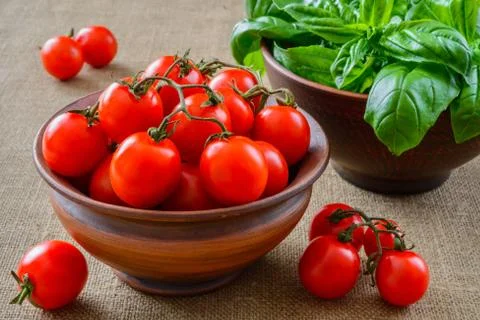 Fresh grape tomatoes with basil Stock Photos
