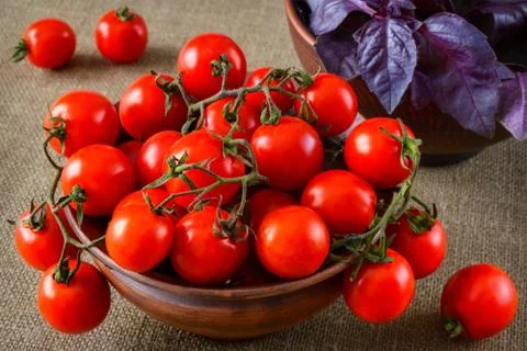 Fresh grape tomatoes with basil Stock Photos