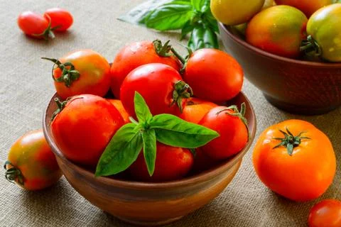 Fresh grape tomatoes with basil Stock Photos
