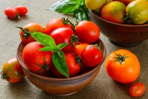 Fresh grape tomatoes with basil Stock Photos