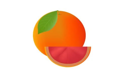 Fresh Grapefruit and cut vector and illustration Stock Illustration