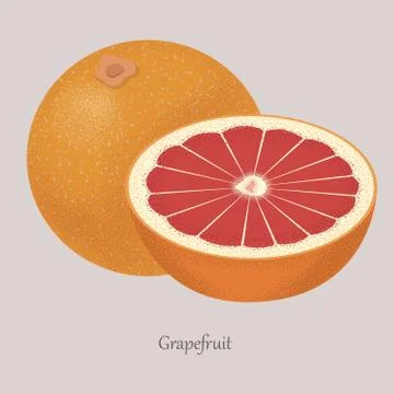 Fresh grapefruit and grapefruit slice, icon isolated on grey background. 스톡 일러스트