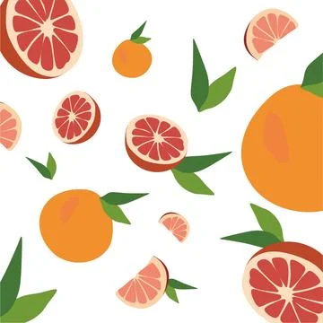 Fresh Grapefruit set.  Stock Illustration