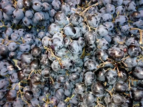 Fresh grapes close-up Stock Photos