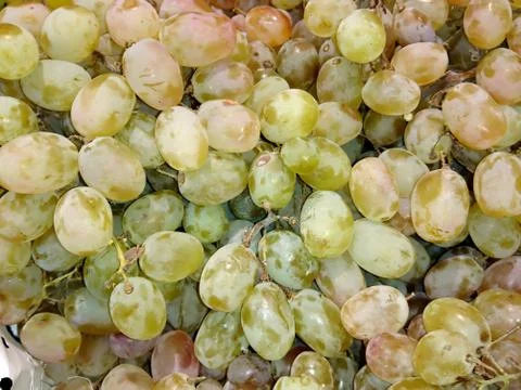 Fresh grapes close-up Stock Photos