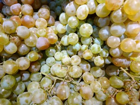 Fresh grapes close-up Stock Photos