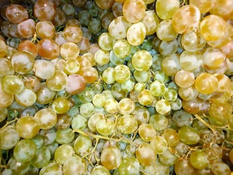 Fresh grapes close-up Foto stock