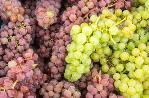 Fresh grapes on display Foto stock