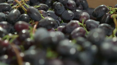 Fresh grapes Video stock 32403127