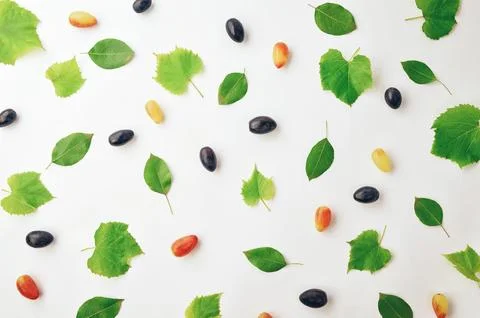 Fresh grapes on a light background. Light summer or autumn fruit texture. H.. Stock Photos