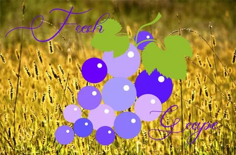 Fresh grapes logo against the background of cereals Stock Illustration
