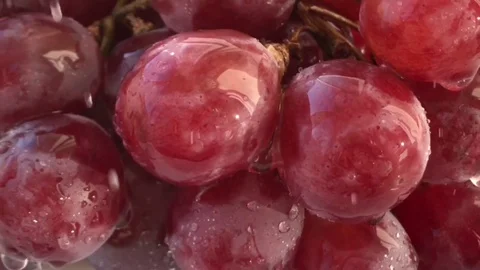 Fresh Grapes White background rain wet water droplet, authentic motion Stock Footage 80594333