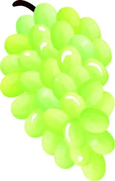 Fresh grapes on white background - vector-eps Stock Illustration