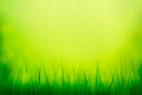 Fresh Grass Green Background Stock Illustration