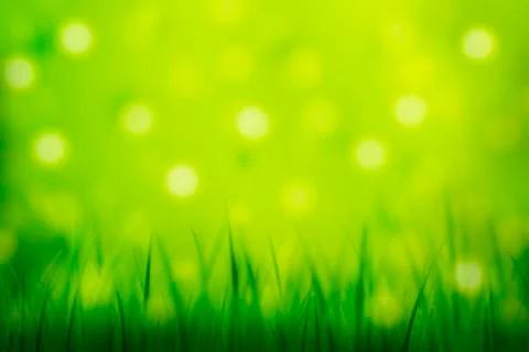 Fresh Grass Green Background Stock Illustration