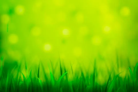 Fresh Grass Green Background Stock Illustration