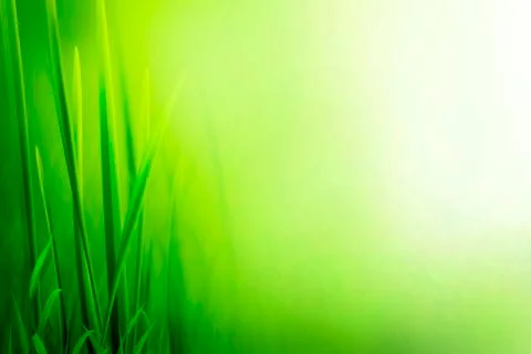 Fresh Grass Green Background Stock Illustration