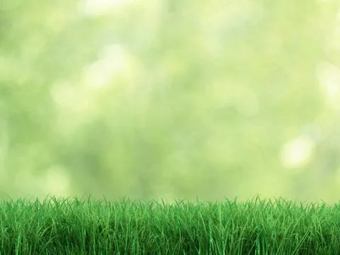 Fresh grass Stock Illustration