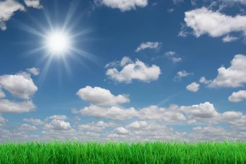 Fresh grass Stock Illustration