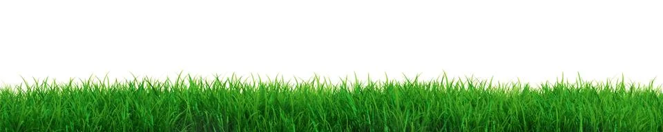 Fresh grass Stock Illustration