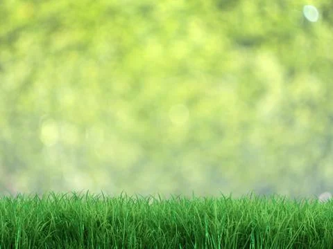 Fresh grass Stock Illustration