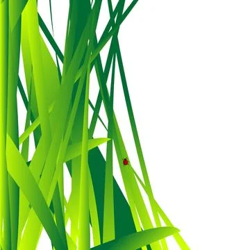 Fresh grass leaves background Background with fresh grass leaves and a lit... Stock Photos