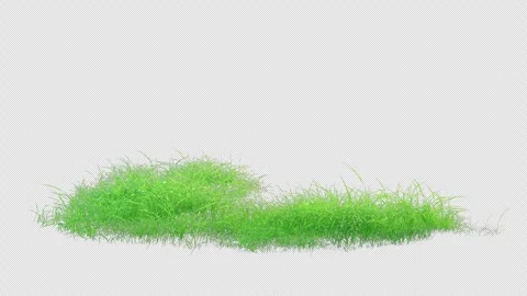 Fresh Grass Patch Swaying in Wind Loop with Alpha Channel. Vídeo Stock 338079371